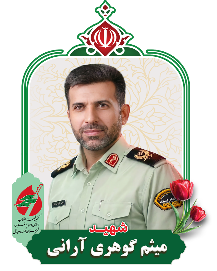 میثم گوهری آرانی